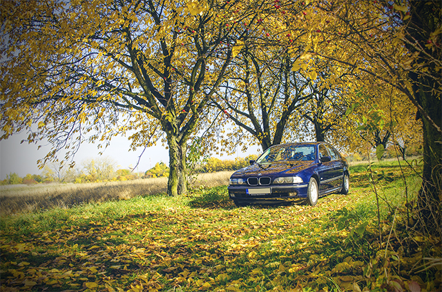bmw e39 528i orientblau